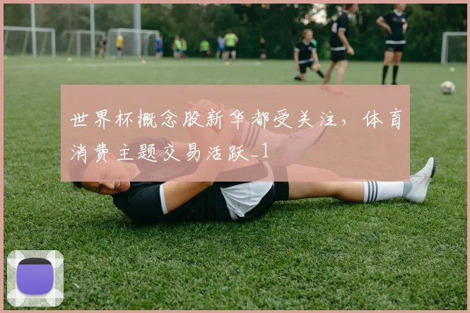 世界杯概念股新华都受关注，体育消费主题交易活跃_1