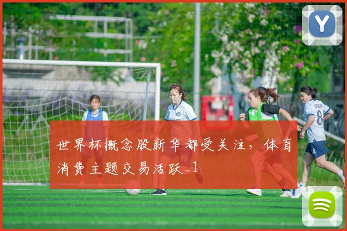 世界杯概念股新华都受关注,体育消费主题交易活跃_1